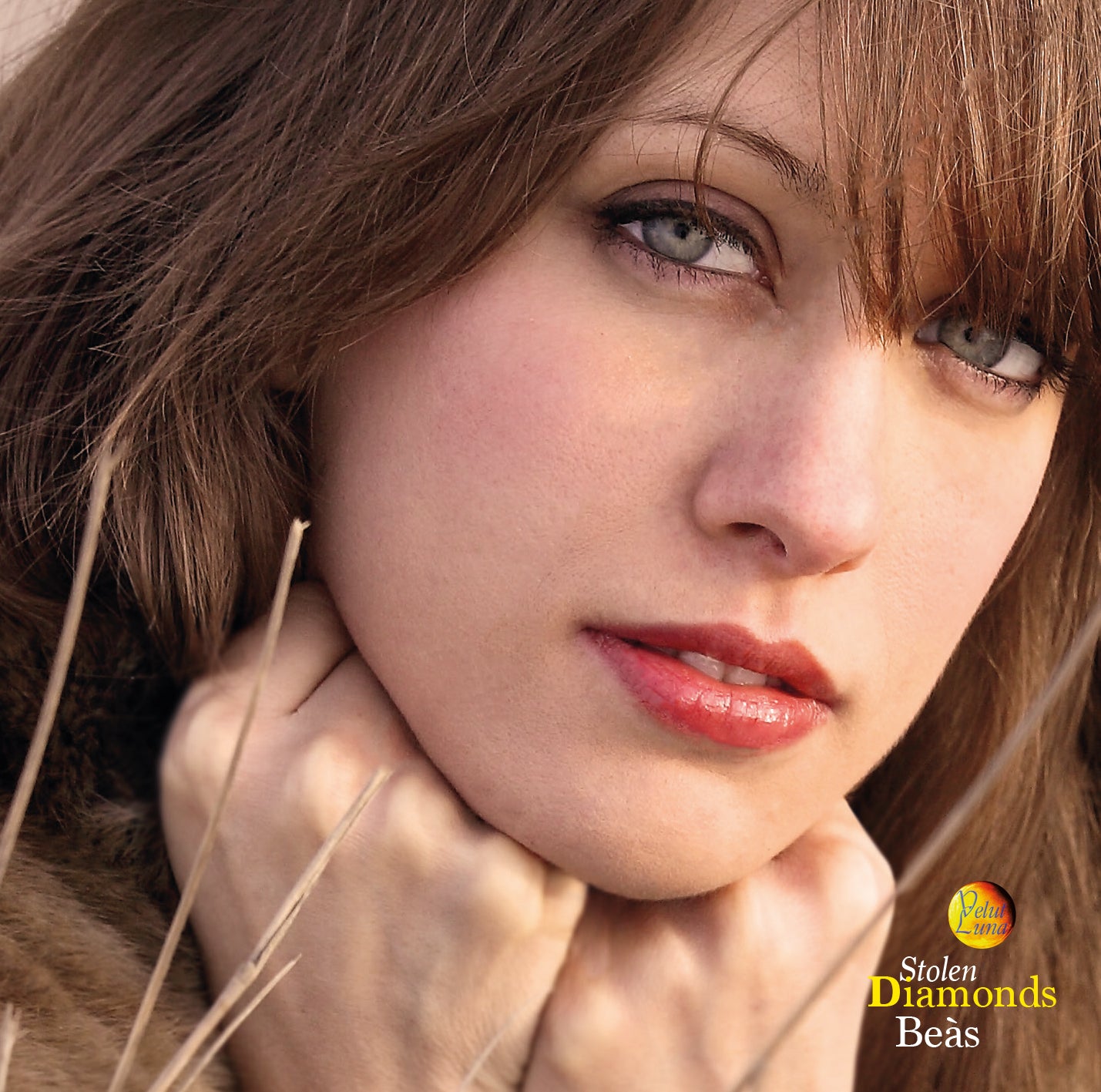 STOLEN DIAMONDS - Beàs