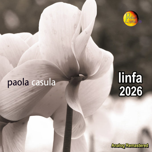 LYMPH - Paola Casula