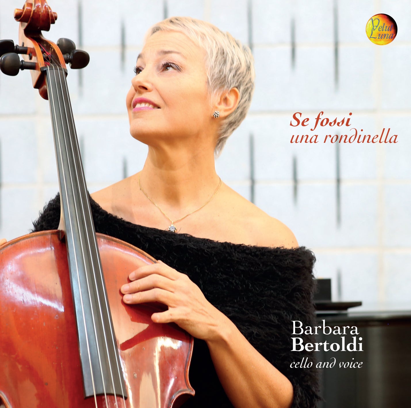 もし私がツバメだったら - バーバラ・ベルトルディ